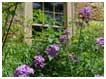 Image of cottage garden