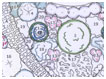 Image of final plan