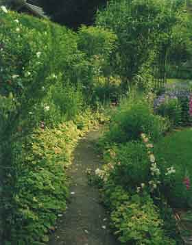 Long Thin Garden Design on Garden Design Wiltshire   Gorgeous Gardens