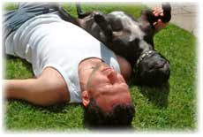 Image of man and dog basking in the sun
